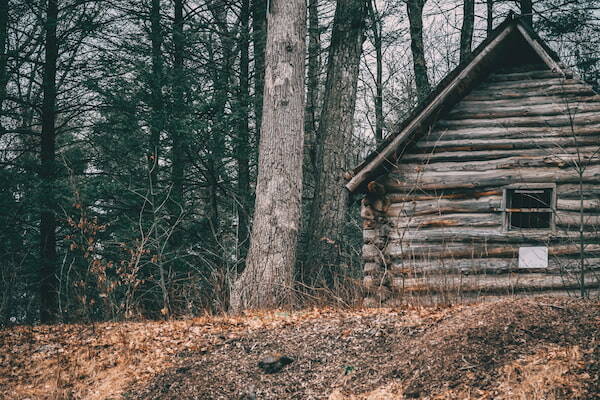 cabaña de madera en el bosque 